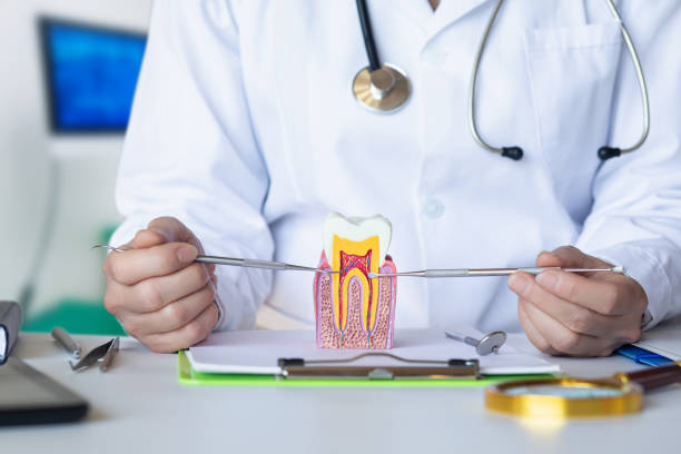 Best Walk-In Emergency Dental Services in Gra Forks Af, ND